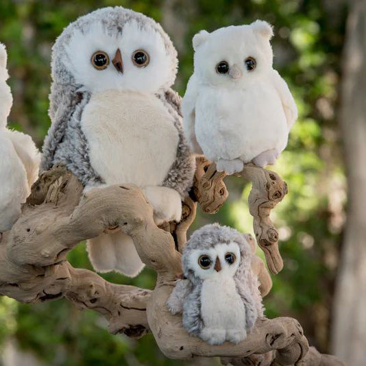 Bukowski Bears-Clever Blanca