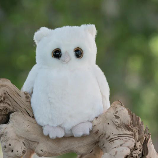 Bukowski Bears-Clever Blanca