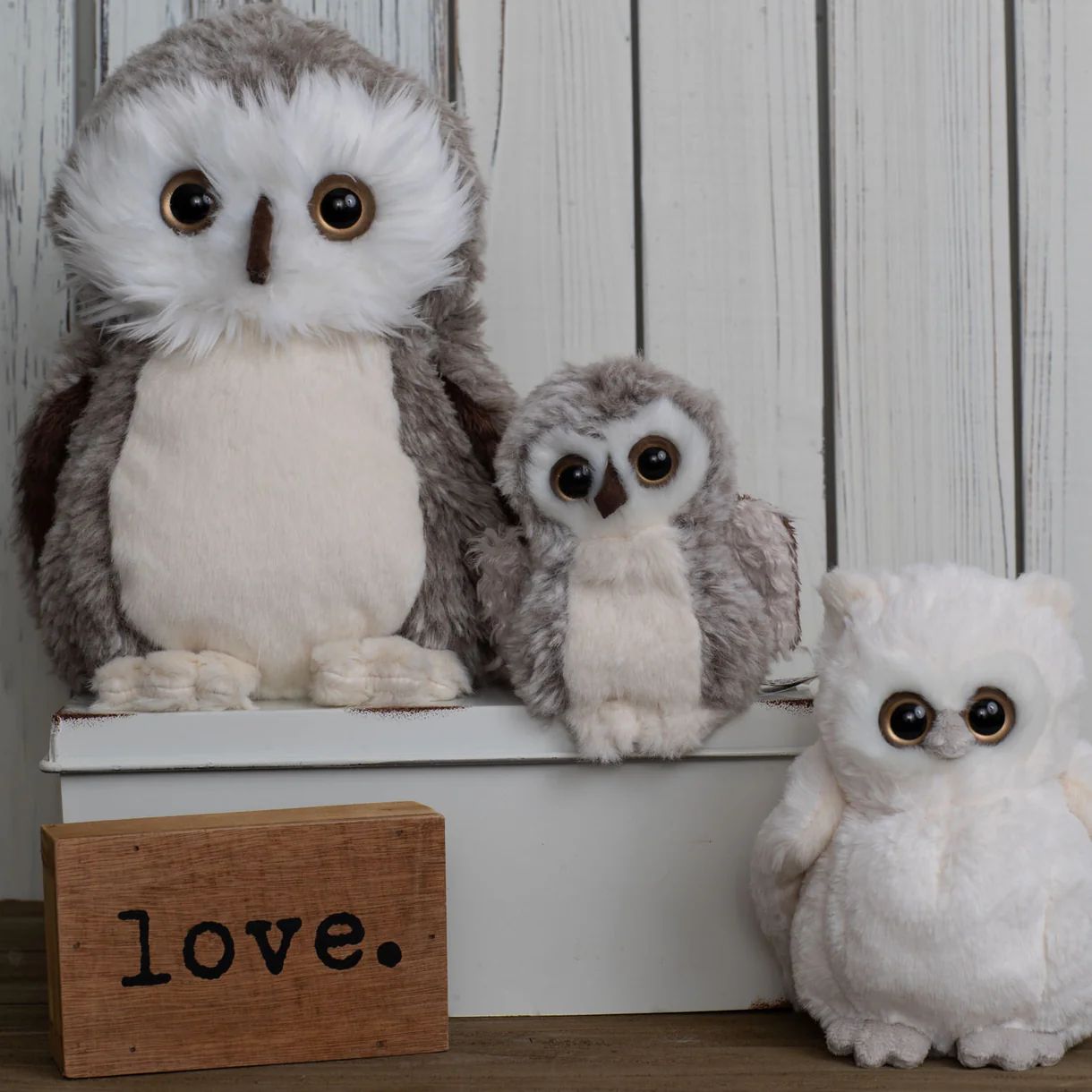 Bukowski Bears-Clever Blanca