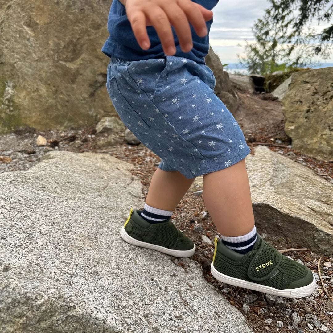 Stonz-Cruiser Toddler-Cypress