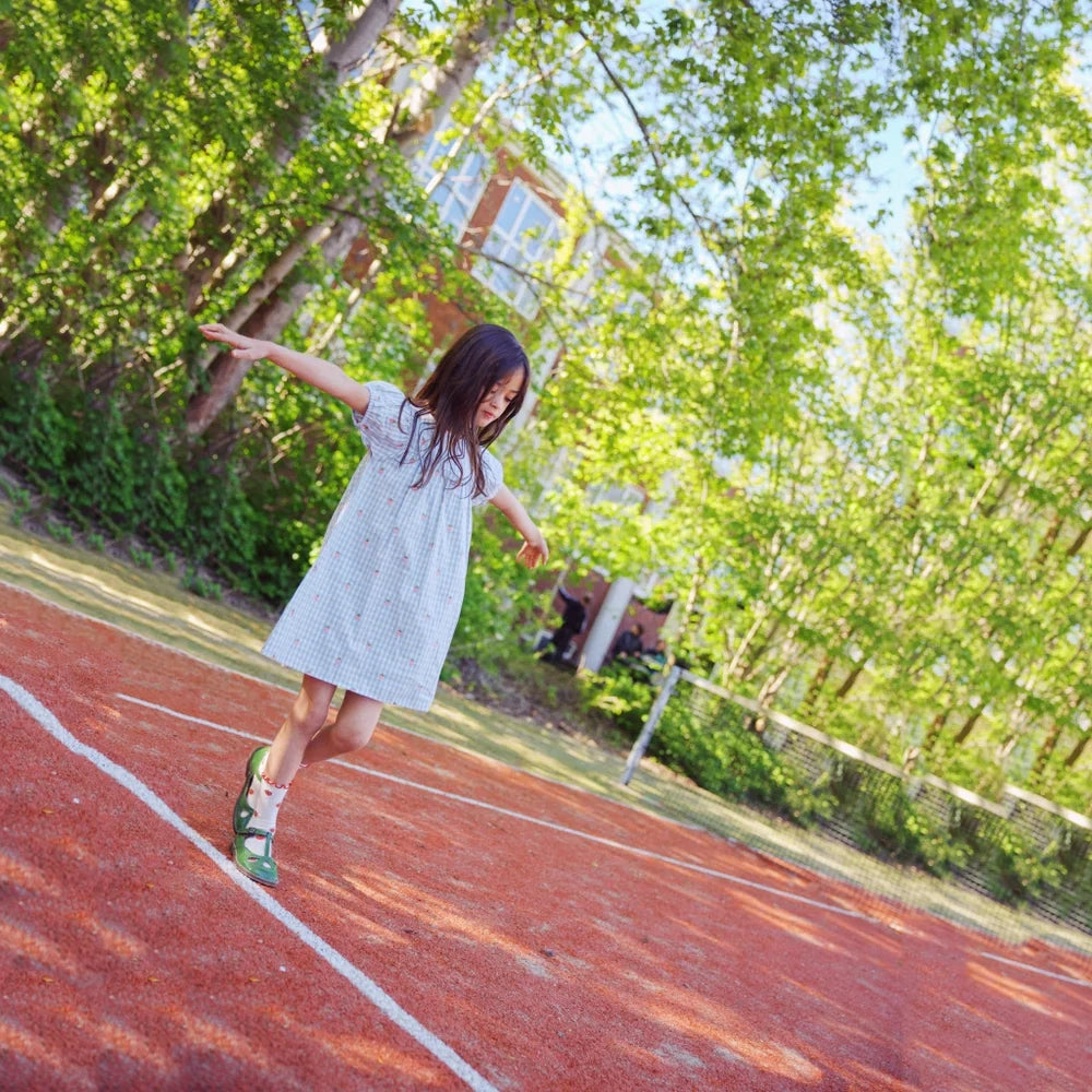 FloĢss-Mille SS Dress Sky Berry Gingham