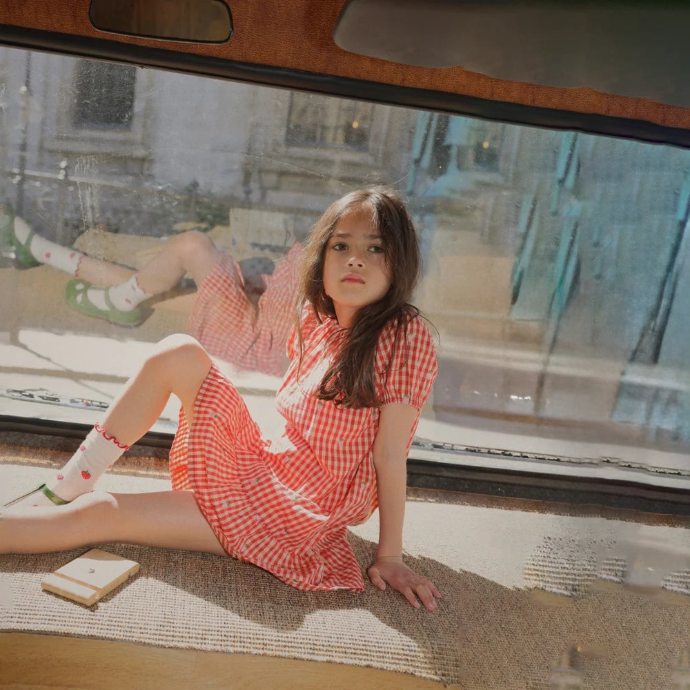 FloĢss-Molly Pineberry Dress Red-pink Berry Gingham