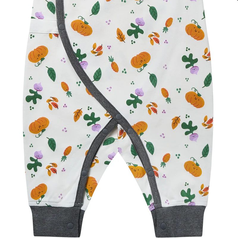 Nest Designs-Long Sleeve Kimono Romper Squish Squash