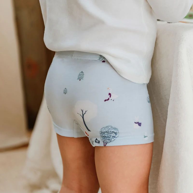 Nest Designs-Boys Boxer Briefs Underwear (2 Pack) Winter Fun