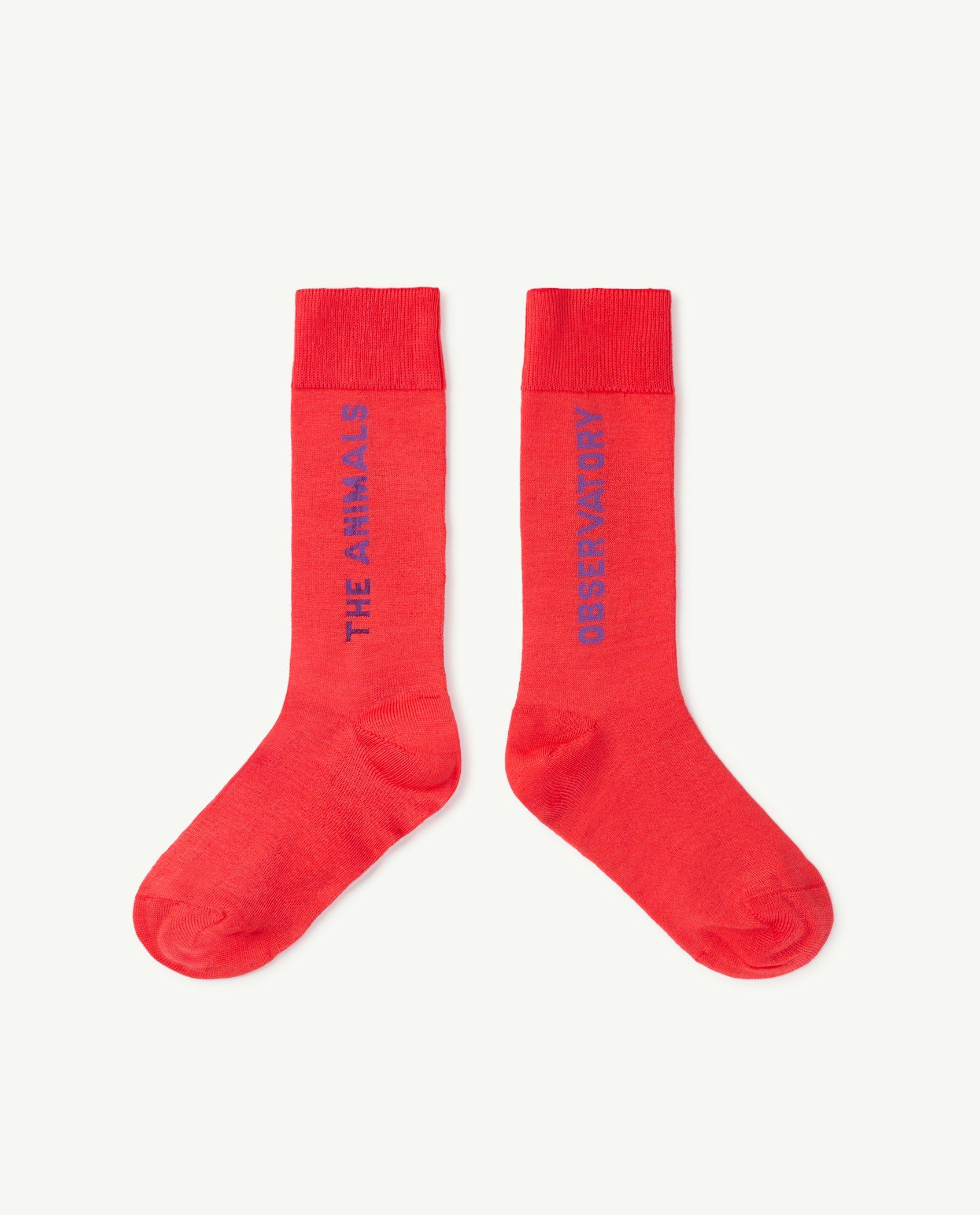 HEN SOCKS - RED