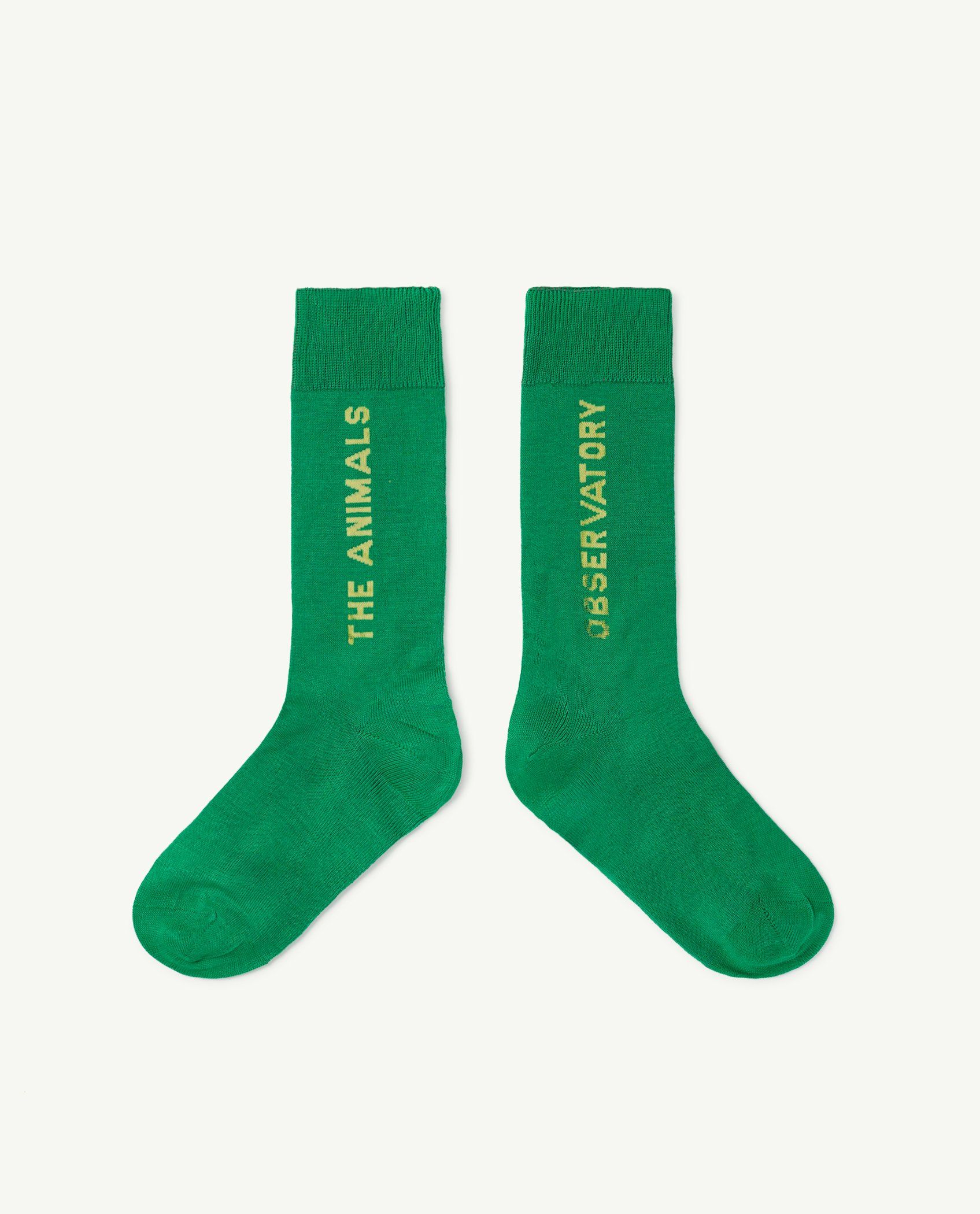 HEN SOCKS - GREEN