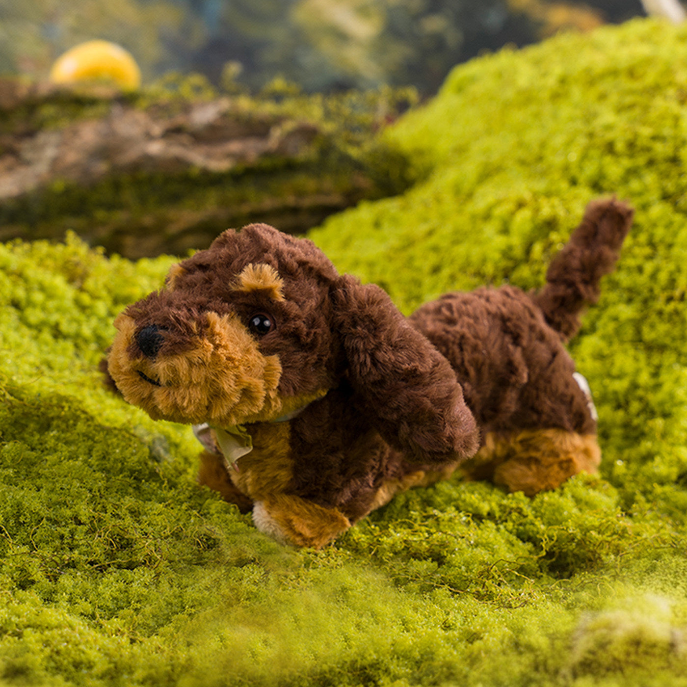 Gabriel-Little Chocolate-20cm