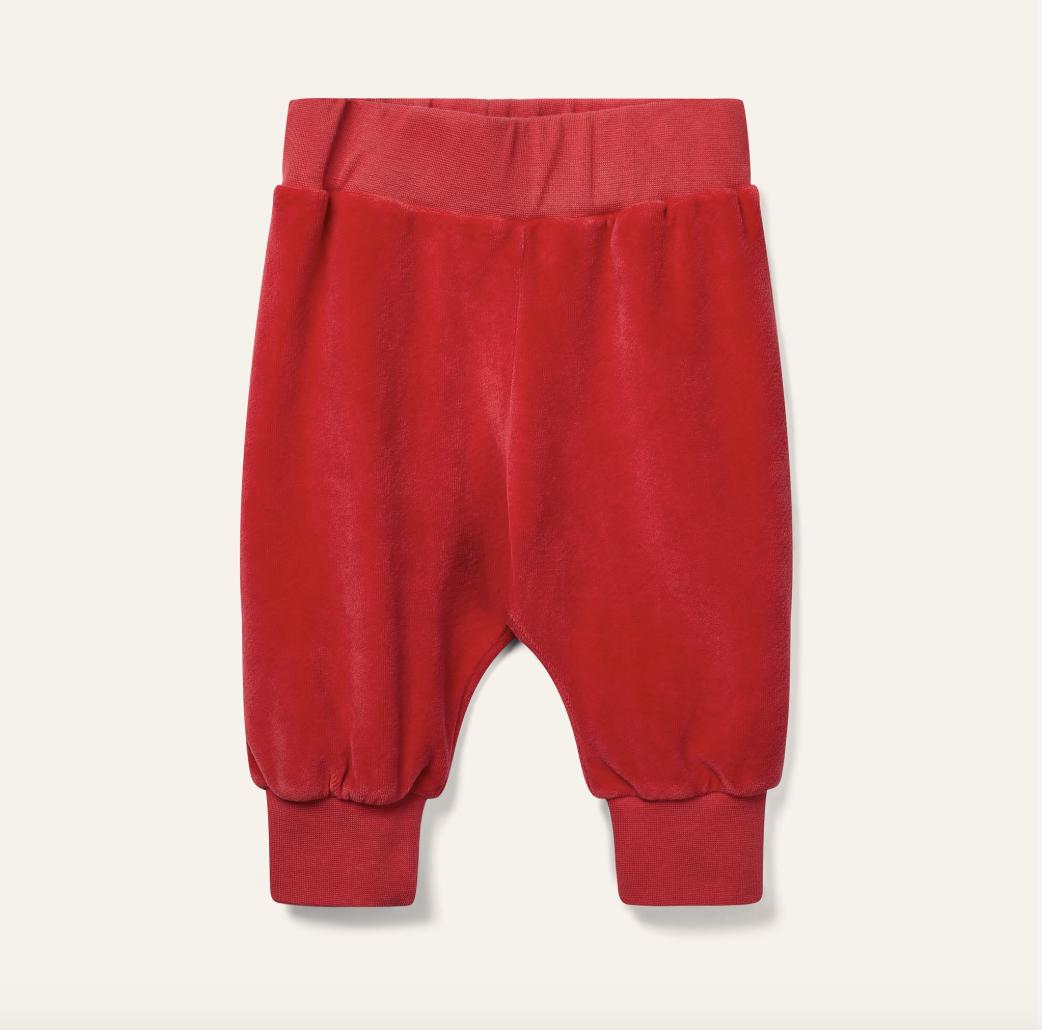 Wynken-Mini Sloth Pant Ladybird Red Velour