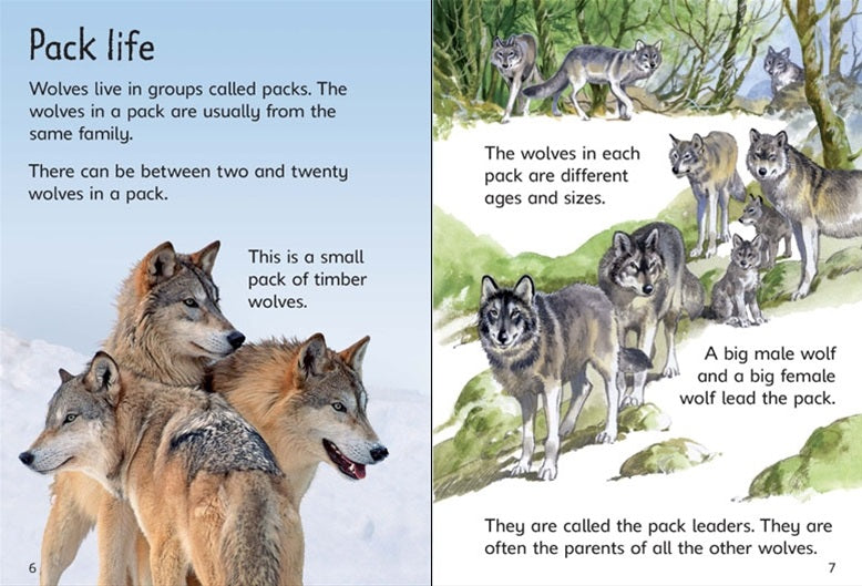 WOLVES - Cemarose Children's Fashion Boutique