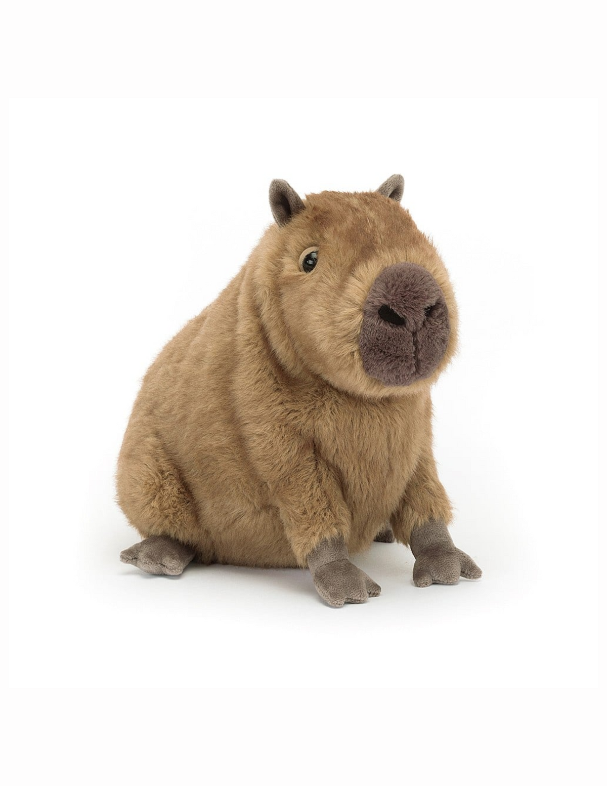 Clyde Capybara