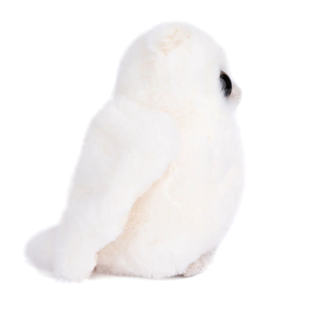 Bukowski Bears-Clever Blanca