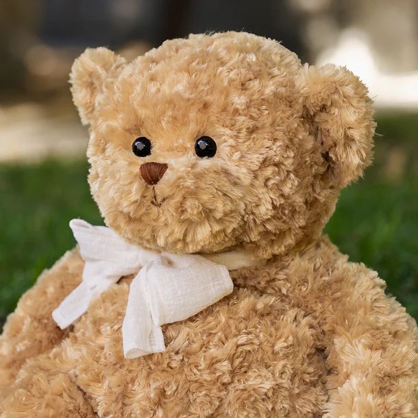 Bukowski Bears-The Big Boy Anton