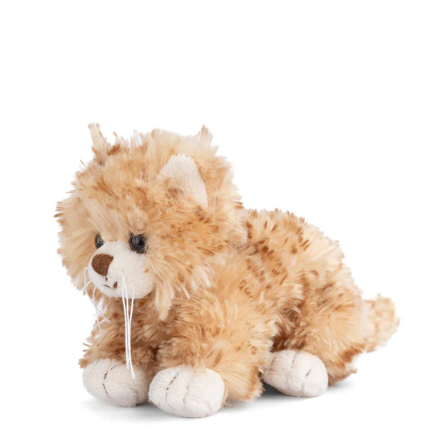 Bukowski Bears-Little Loke