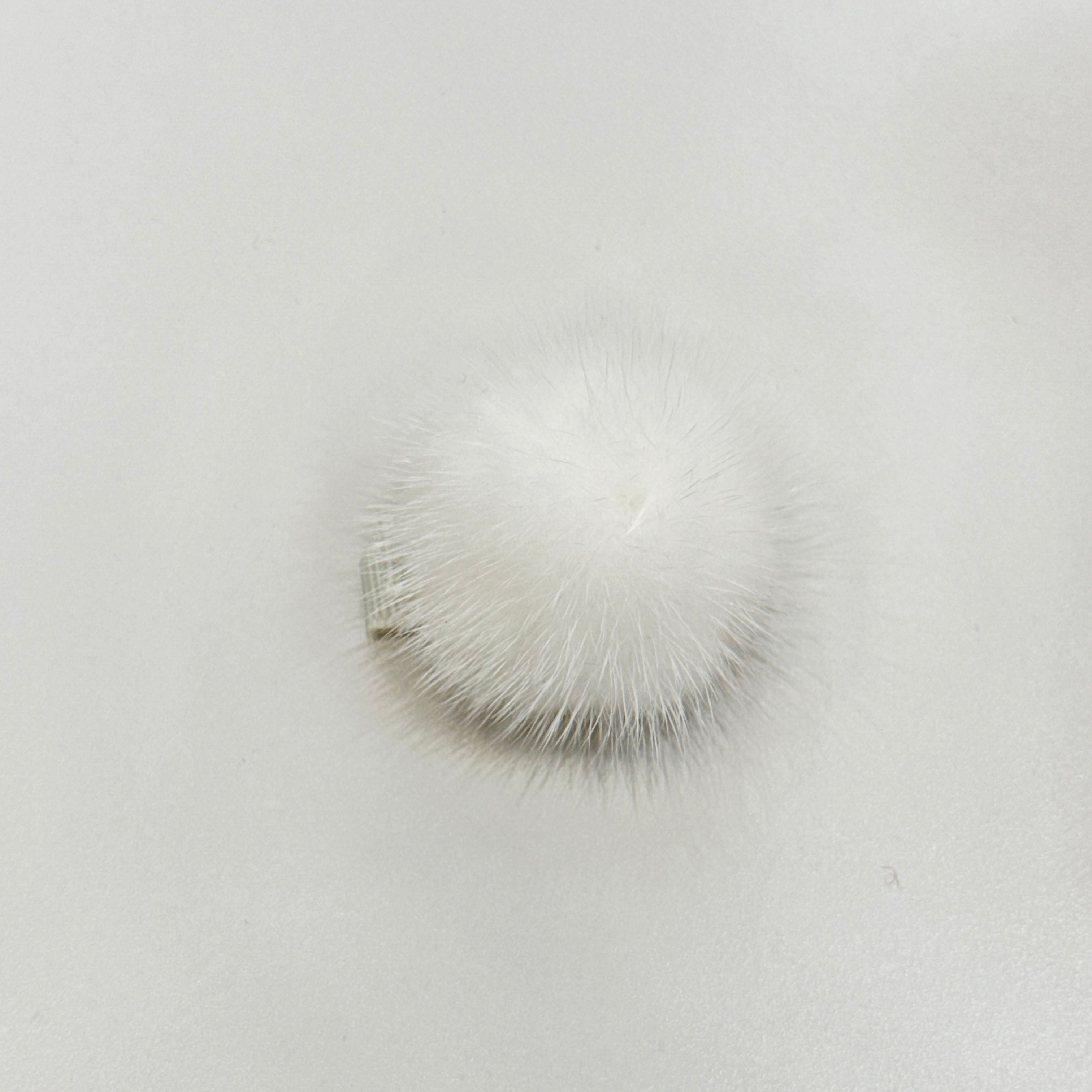 Olilia-Large Mink Puff Clip-White
