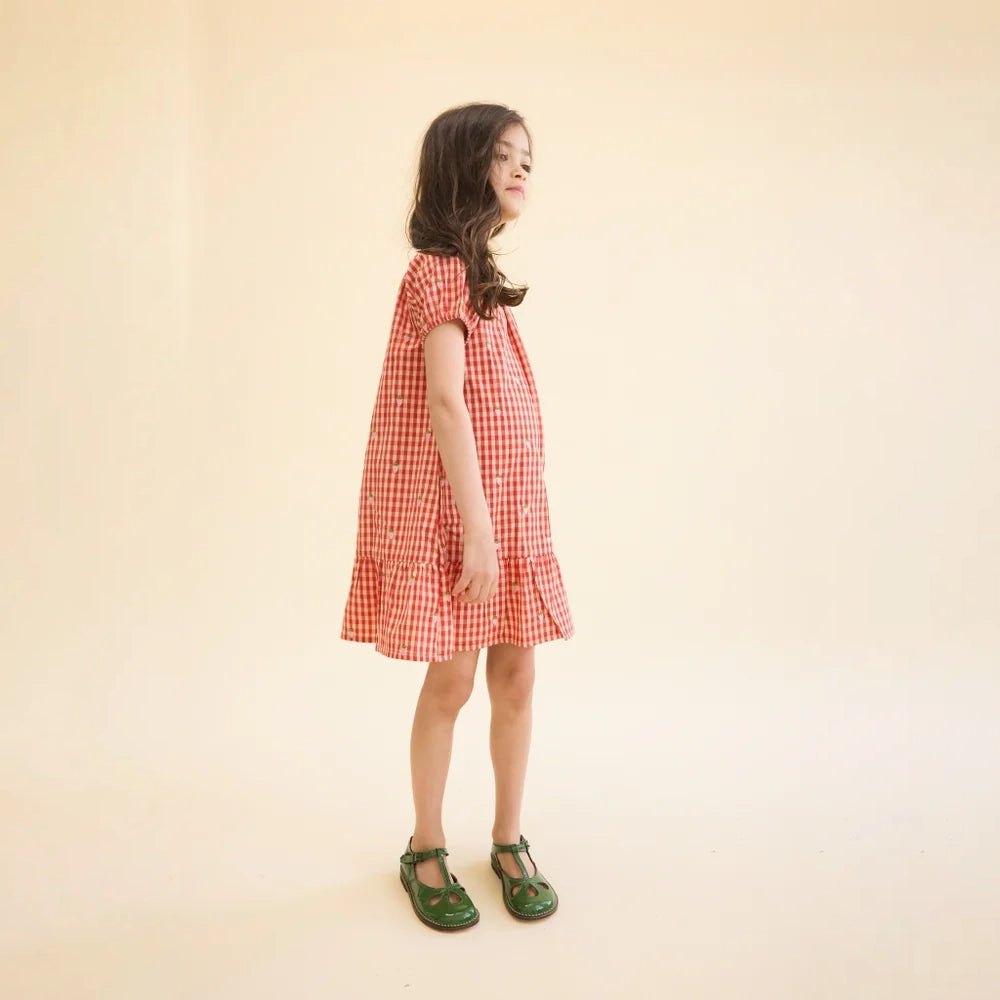 Flöss-Molly Pineberry Dress Red-pink Berry Gingham