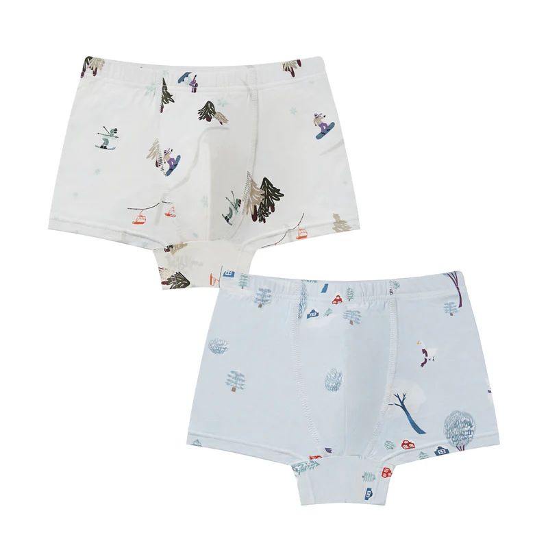 Nest Designs-Boys Boxer Briefs Underwear (2 Pack) Winter Fun