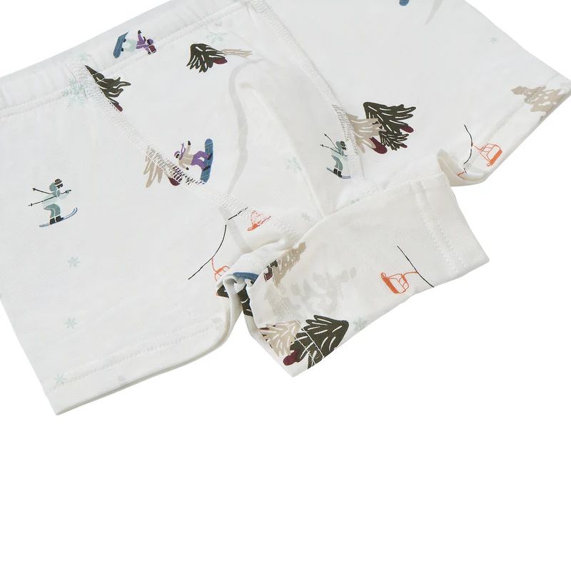 Nest Designs-Boys Boxer Briefs Underwear (2 Pack) Winter Fun