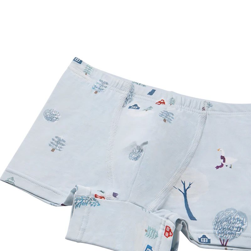 Nest Designs-Boys Boxer Briefs Underwear (2 Pack) Winter Fun