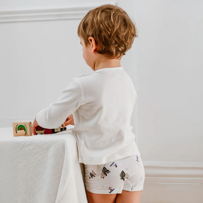 Nest Designs-Boys Boxer Briefs Underwear (2 Pack) Winter Fun