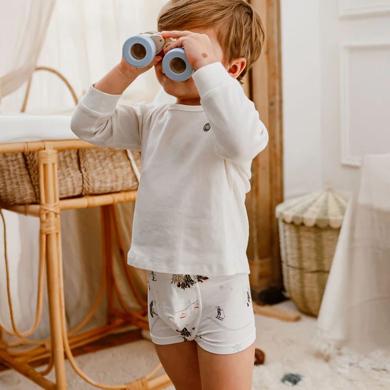 Nest Designs-Boys Boxer Briefs Underwear (2 Pack) Winter Fun