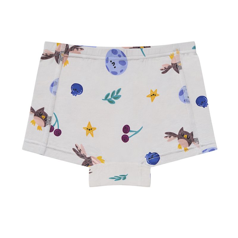 Nest Designs-Girls Boy Short Underwear (2 Pack) Fall Magic