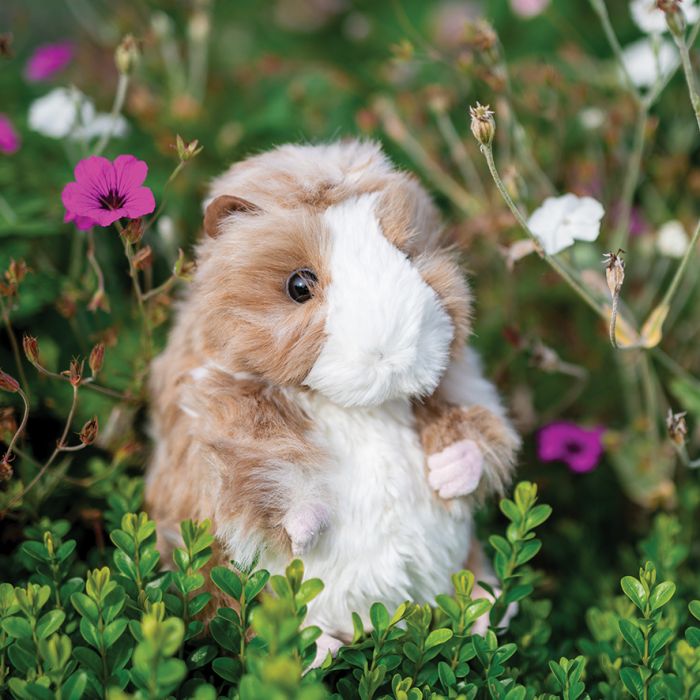 Wrendale Designs-Guinea Pig - Large Plush