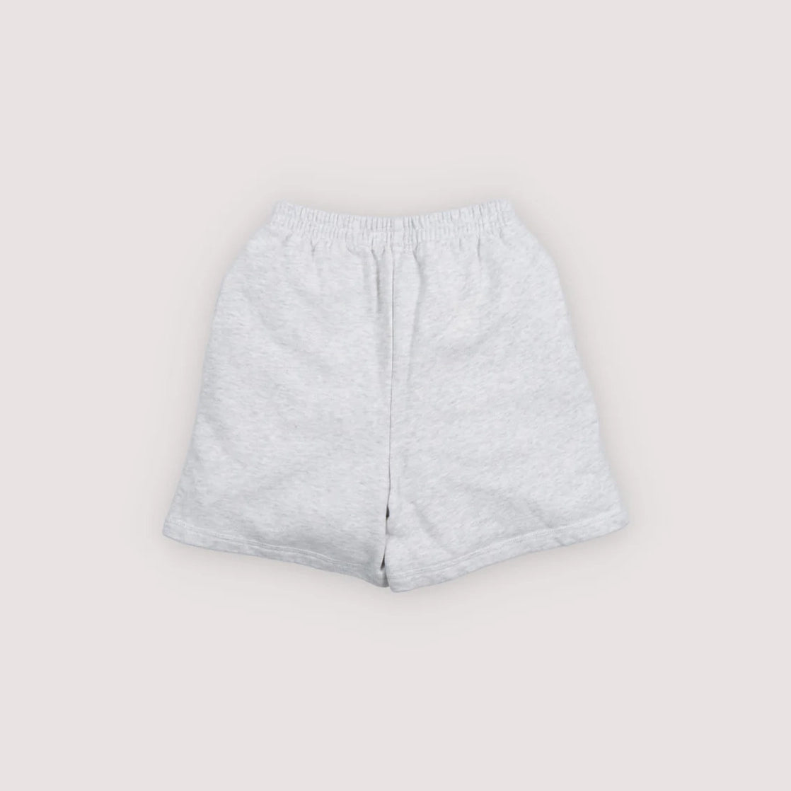 The New Society-TNS Logo Short Light Grey Melange