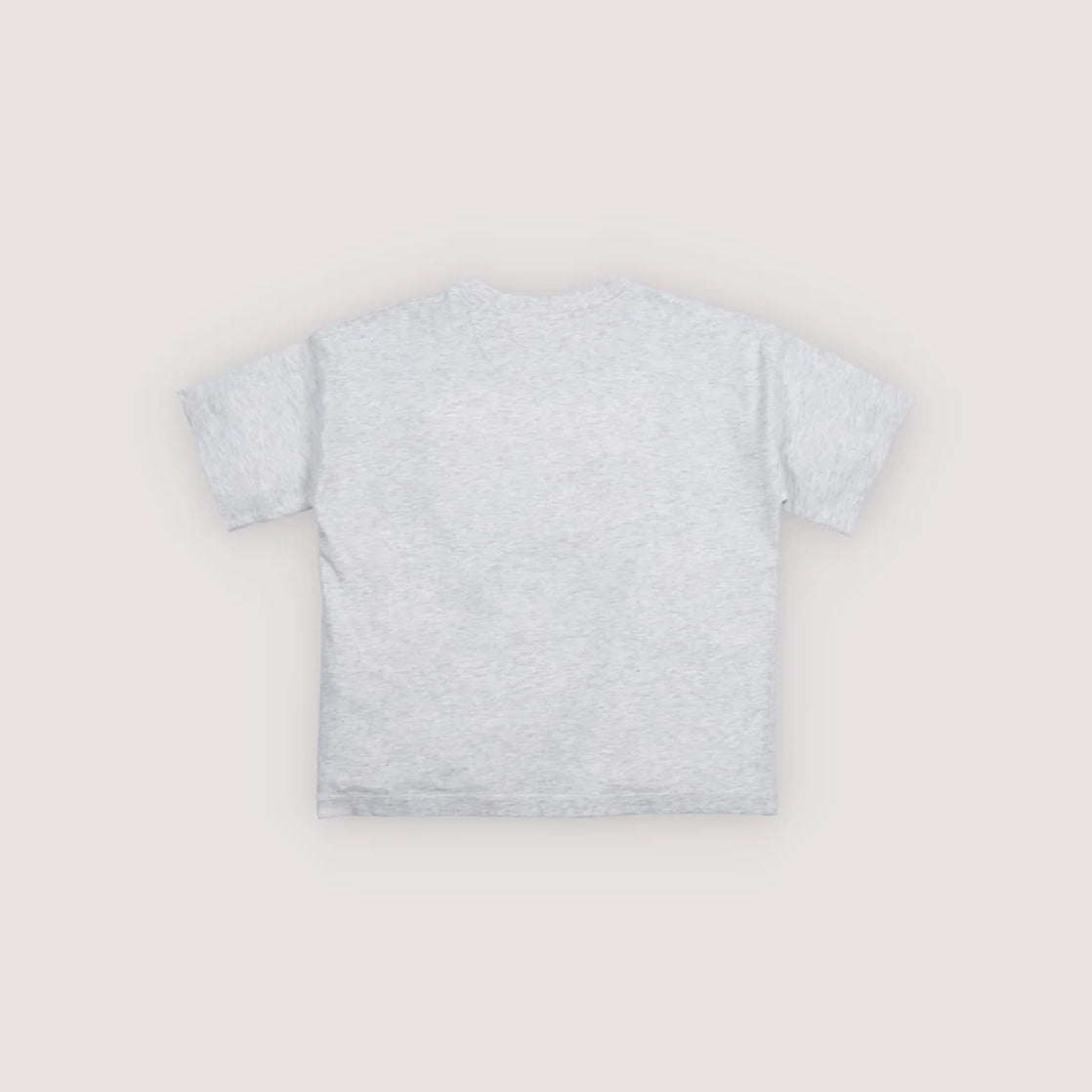 The New Society-TNS Logo T-Shirt Light Grey Melange