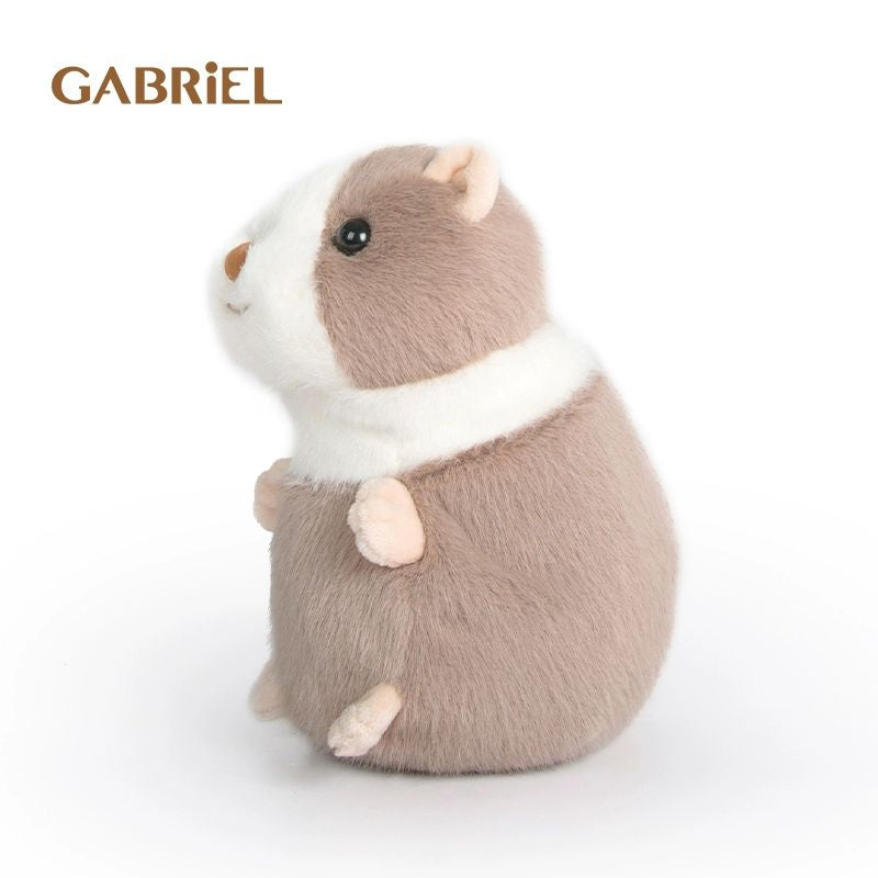Gabriel-Darwin-20cm
