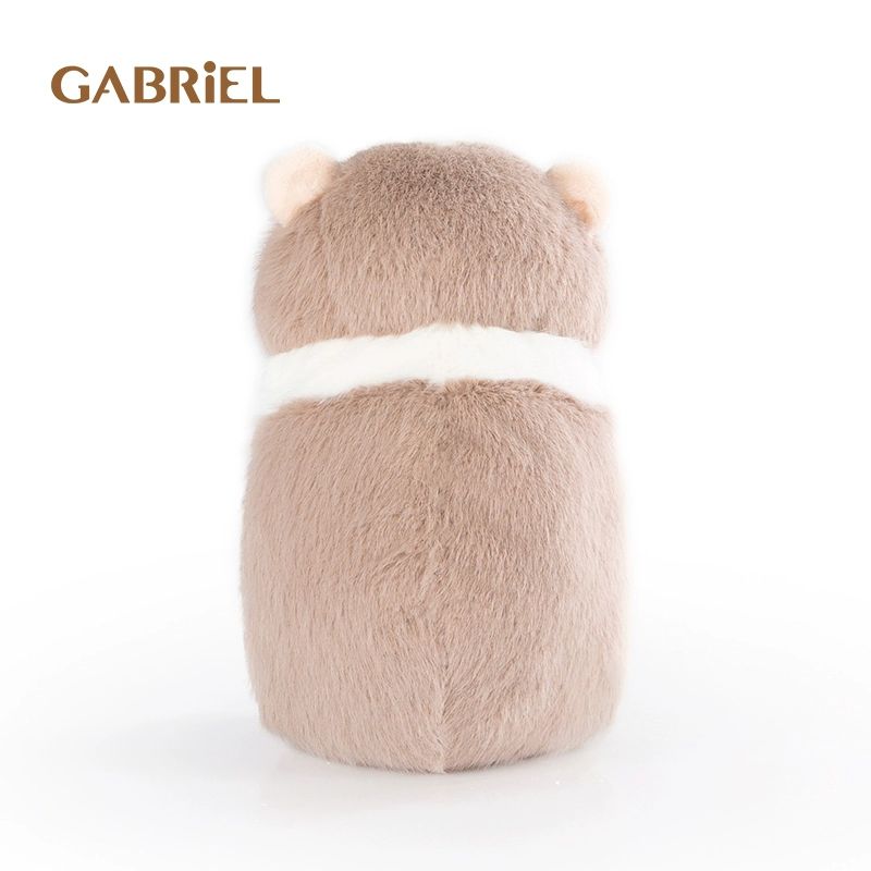 Gabriel-Darwin-20cm