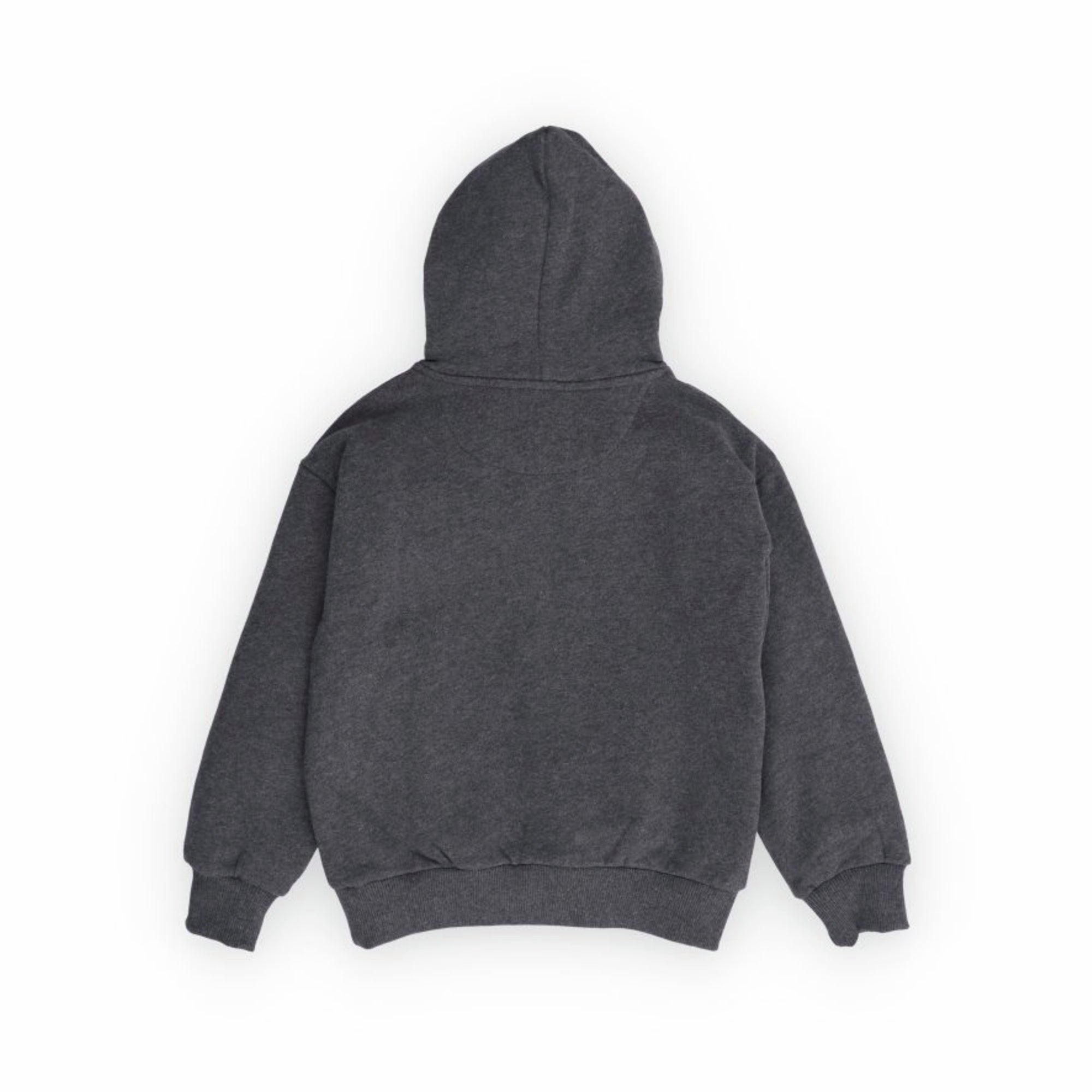 The New Society-TNS Logo Hood Sweatshirt Galactic Grey Melange