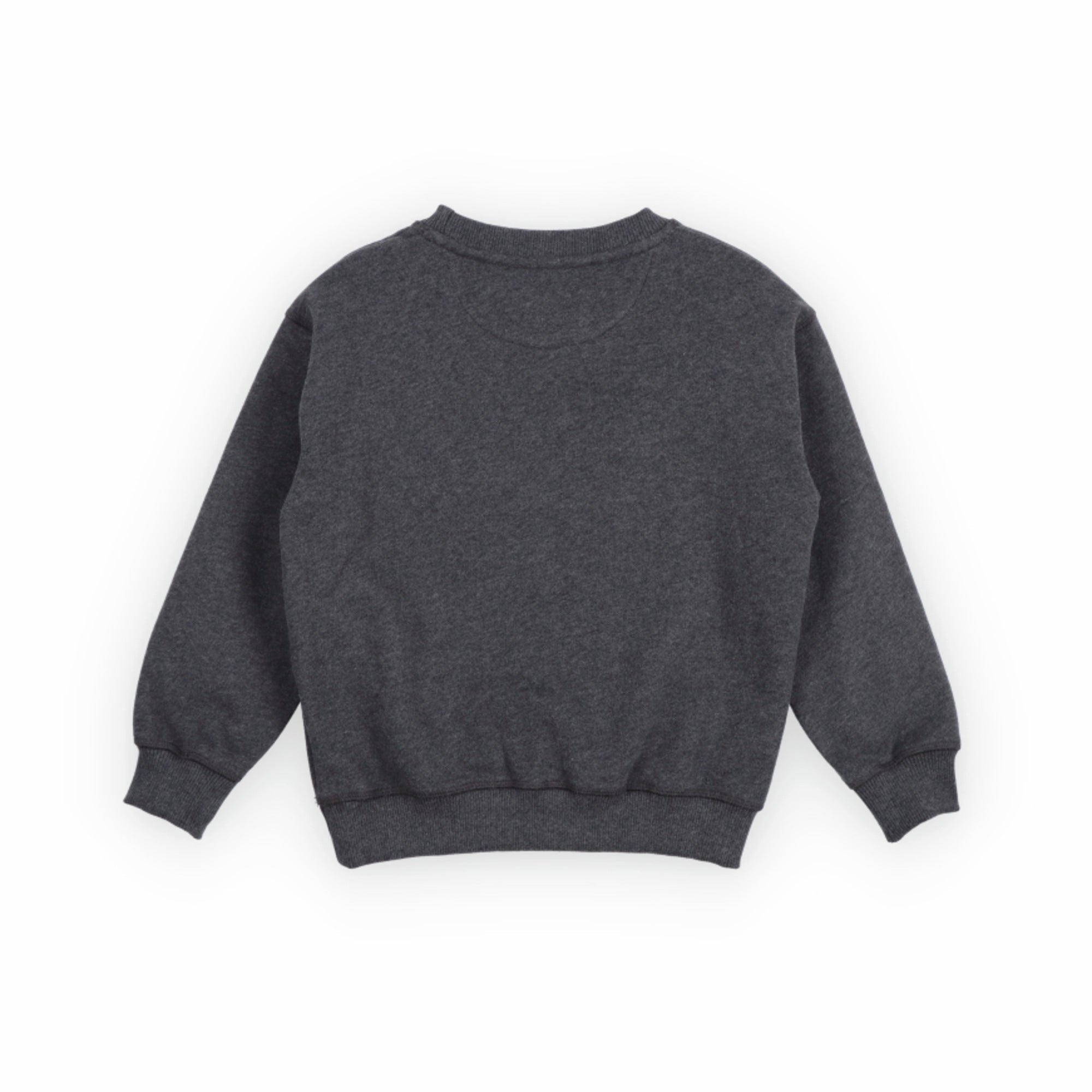 The New Society-TNS Logo Sweatshirt Galactic Grey Melange