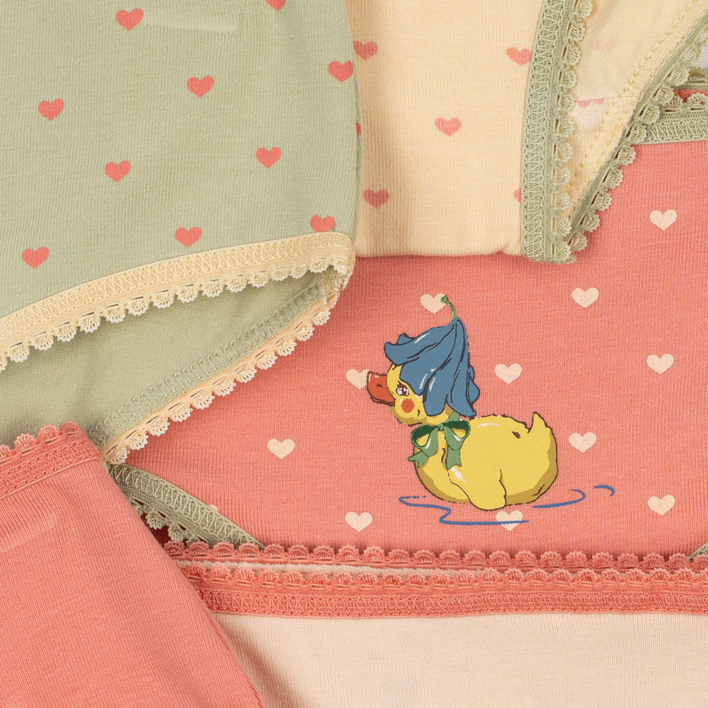 Konges Sløjd-Basic 5 Pack Girl Underpants Gots Girl Mix Pack