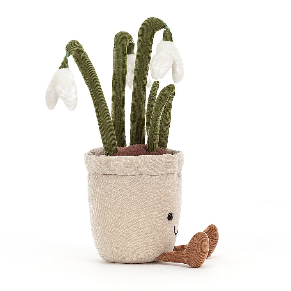 Amuseable Snowdrop - Cémarose Canada