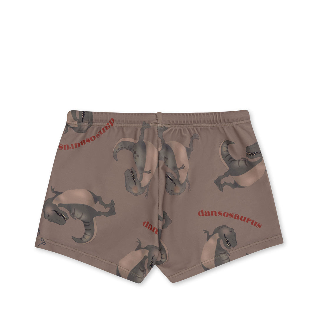 ASTER SWIM PANTS - DANSOSAURUS