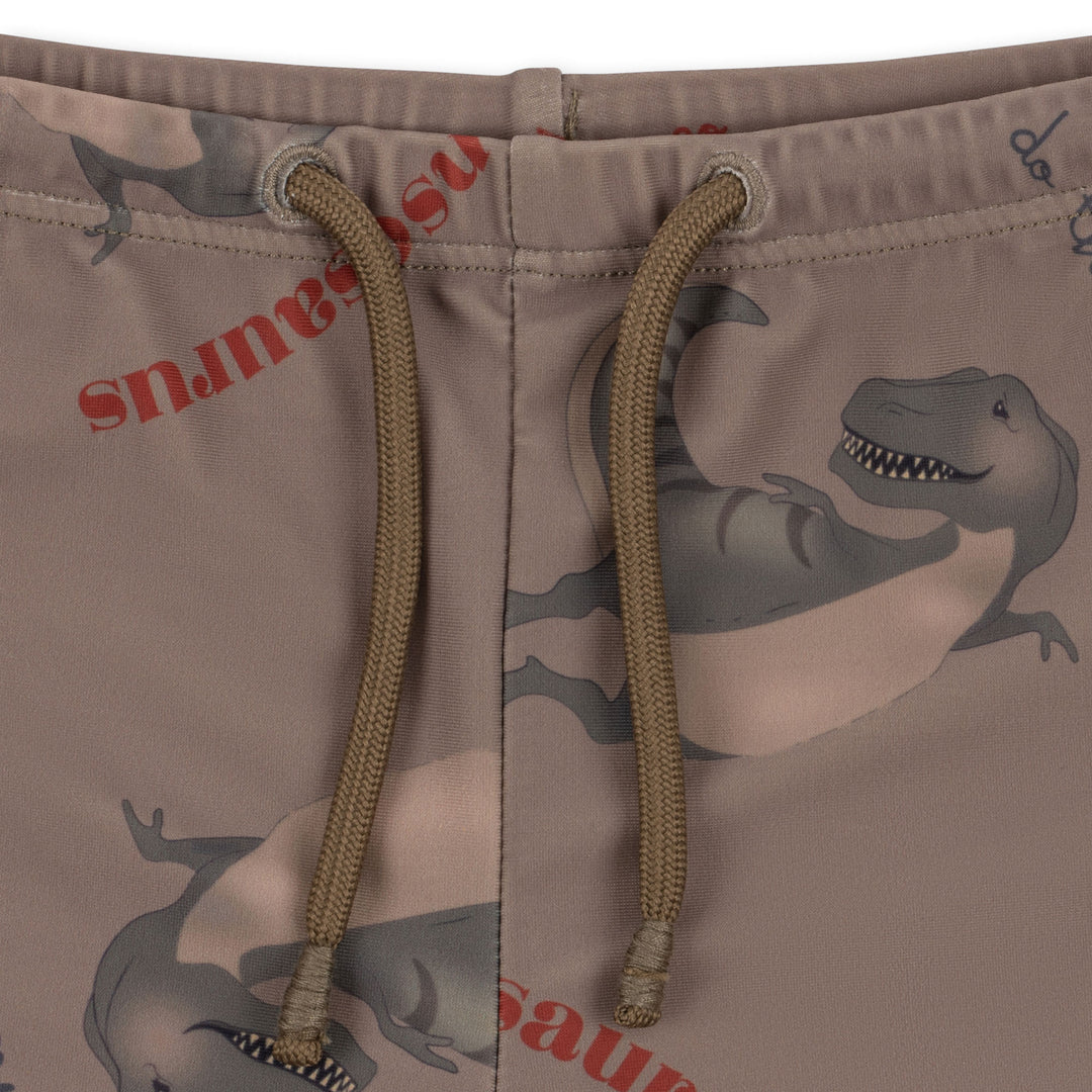 ASTER SWIM PANTS - DANSOSAURUS