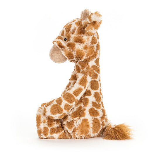 Bashful Giraffe - Cémarose Canada