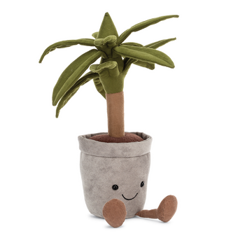 Amuseable Dragon Tree